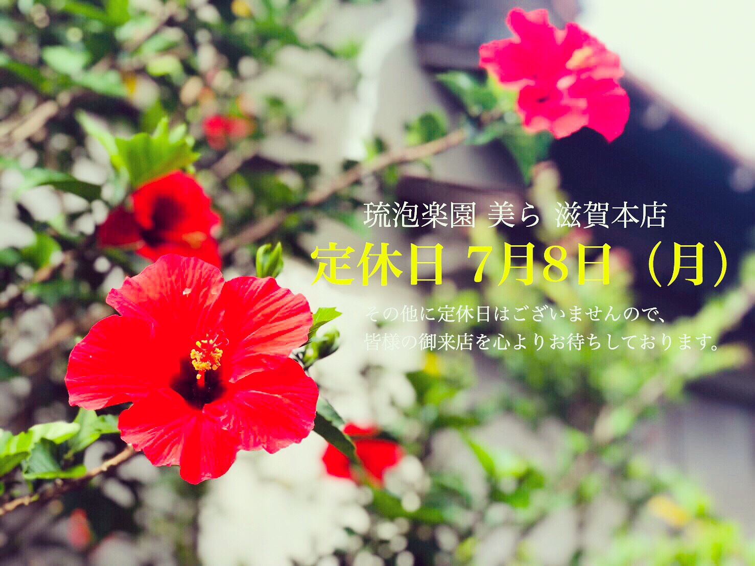 琉泡楽園 美ら 滋賀本店  7月定休日のお知らせ