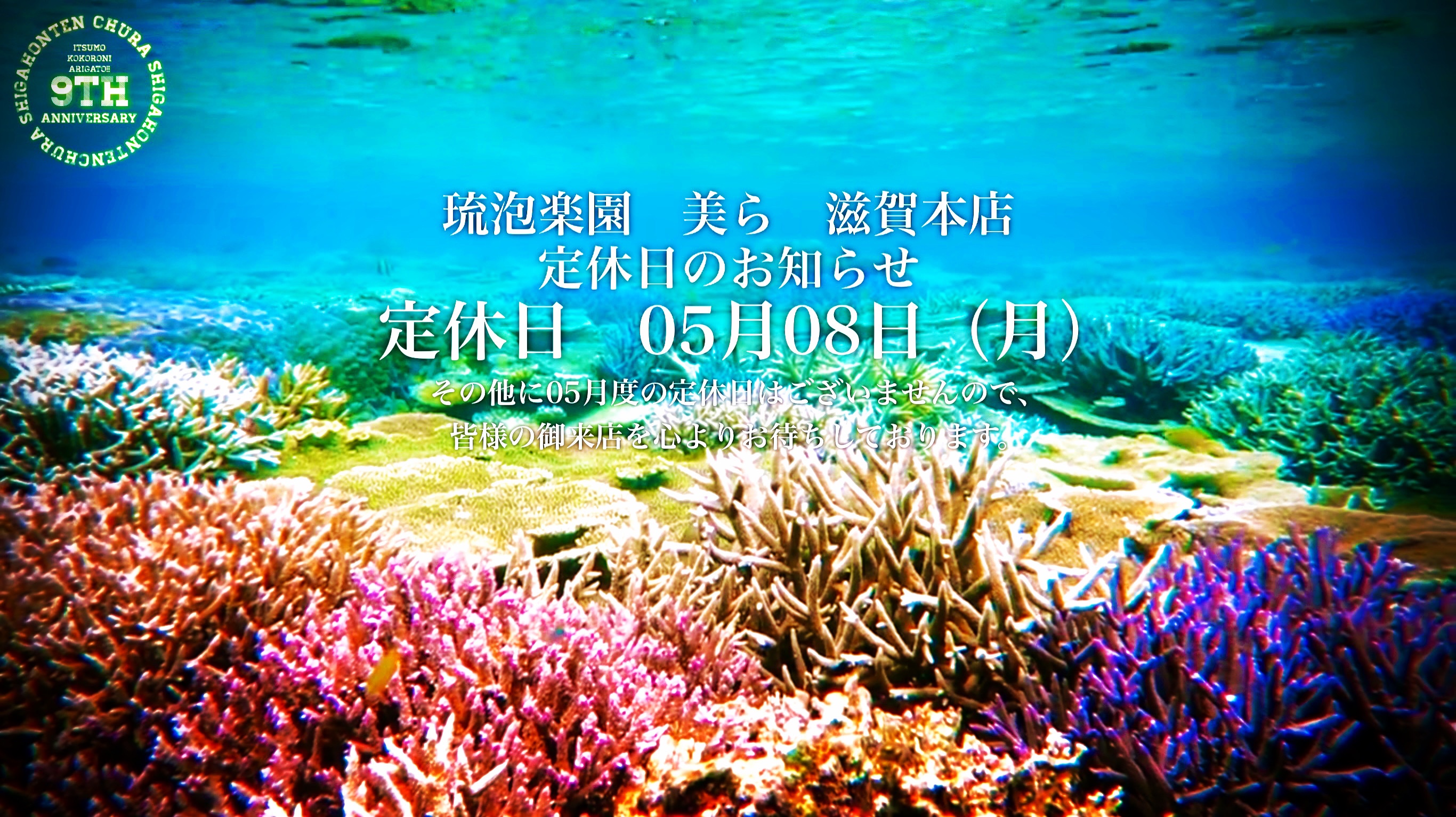 定休日05月08日（月）