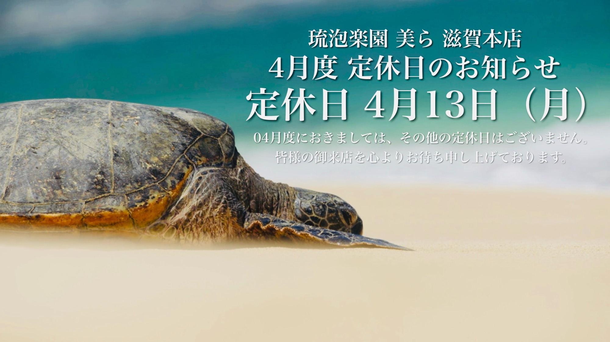 定休日　04月13日（月）